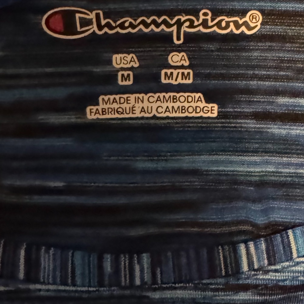 Champion Multicolor Striped Tee